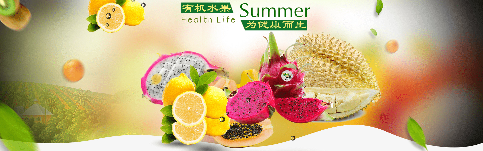 <strong>北京蔬菜配送</strong>